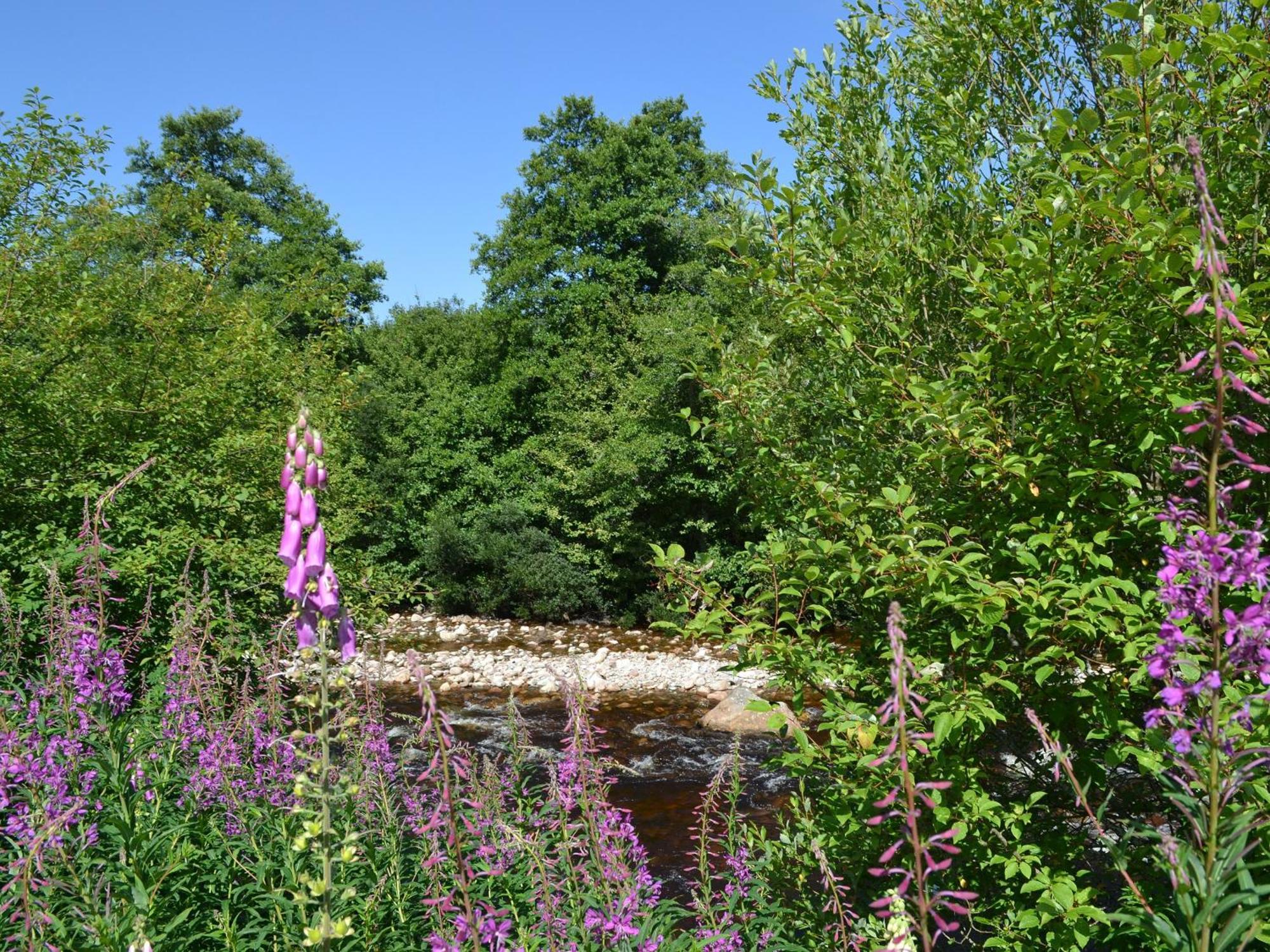 Battanropie Lodge Carrbridge Esterno foto